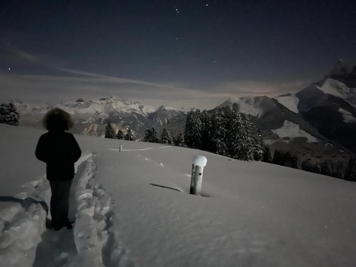 Chalet Chanso Morgins Exterior foto